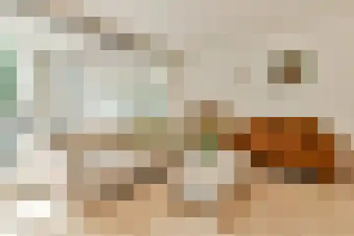 Gouden Leeuw 112 Amsterdam thumbnail 6