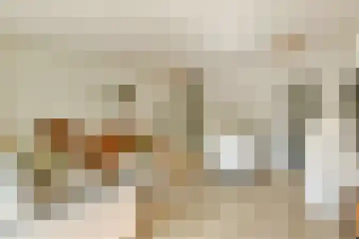 Gouden Leeuw 112 Amsterdam thumbnail 8