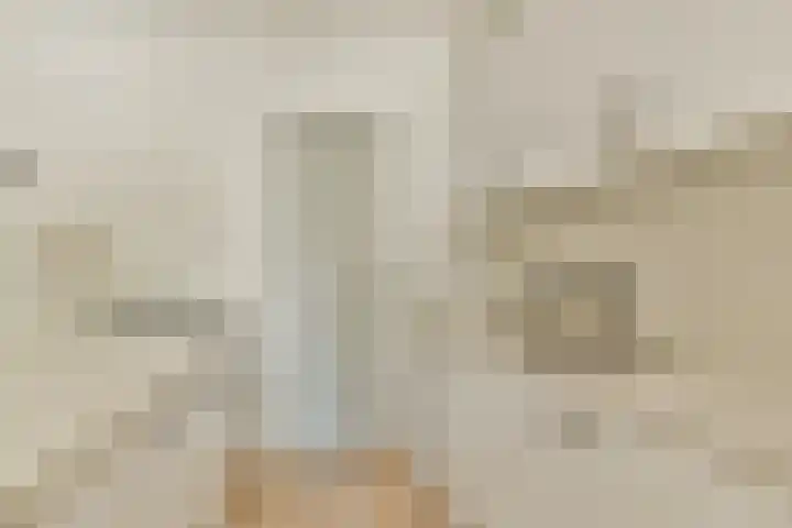 Gouden Leeuw 112 Amsterdam thumbnail 9
