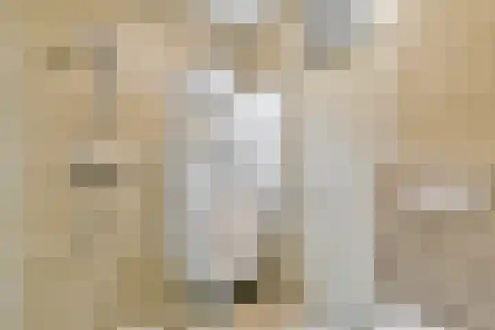 Gouden Leeuw 136 Amsterdam thumbnail 13