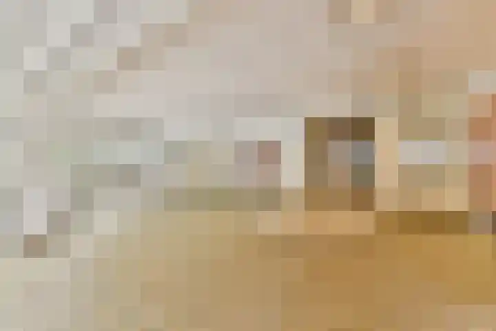 Gouden Leeuw 136 Amsterdam thumbnail 17