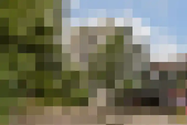 Gouden Leeuw 136 Amsterdam thumbnail 19
