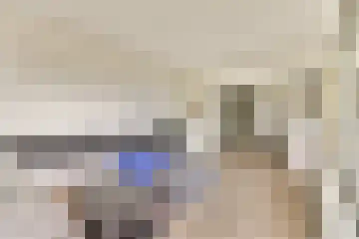 Gouden Leeuw 136 Amsterdam thumbnail 4
