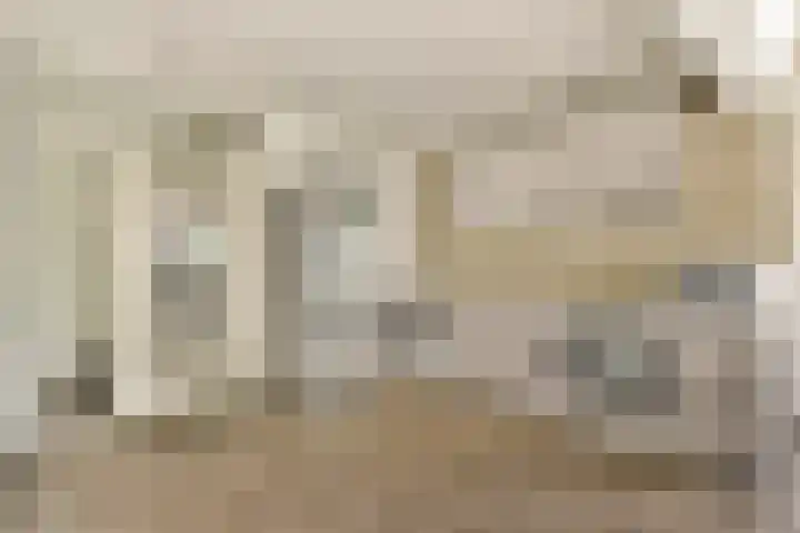 Gouden Leeuw 136 Amsterdam thumbnail 5