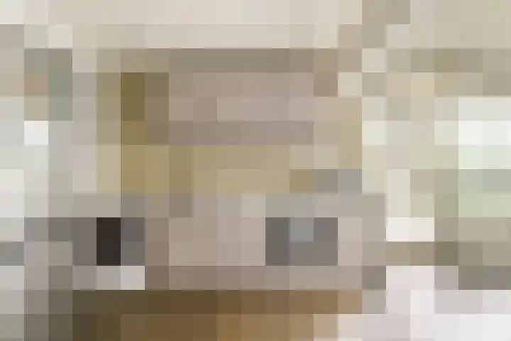 Gouden Leeuw 136 Amsterdam thumbnail 6