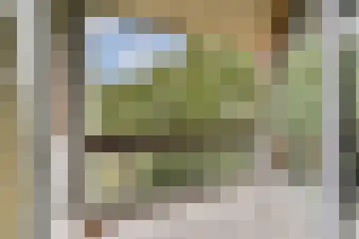 Gouden Leeuw 136 Amsterdam thumbnail 7