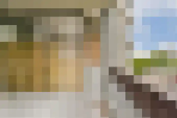 Gouden Leeuw 136 Amsterdam thumbnail 8