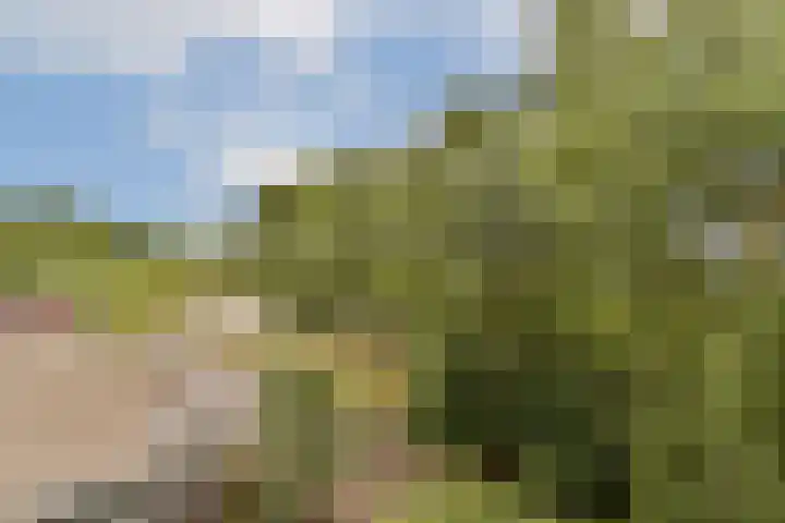 Gouden Leeuw 136 Amsterdam thumbnail 9