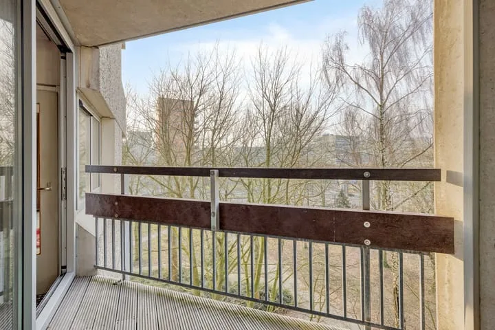 Gouden Leeuw 222 Amsterdam thumbnail 21
