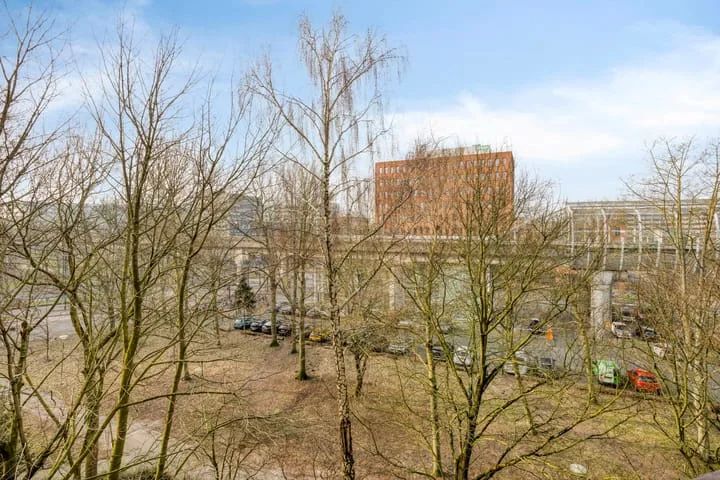 Gouden Leeuw 222 Amsterdam thumbnail 24