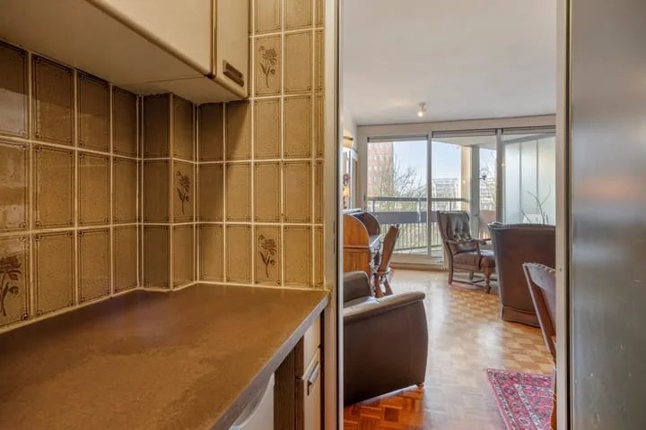 Gouden Leeuw 222 Amsterdam thumbnail 8