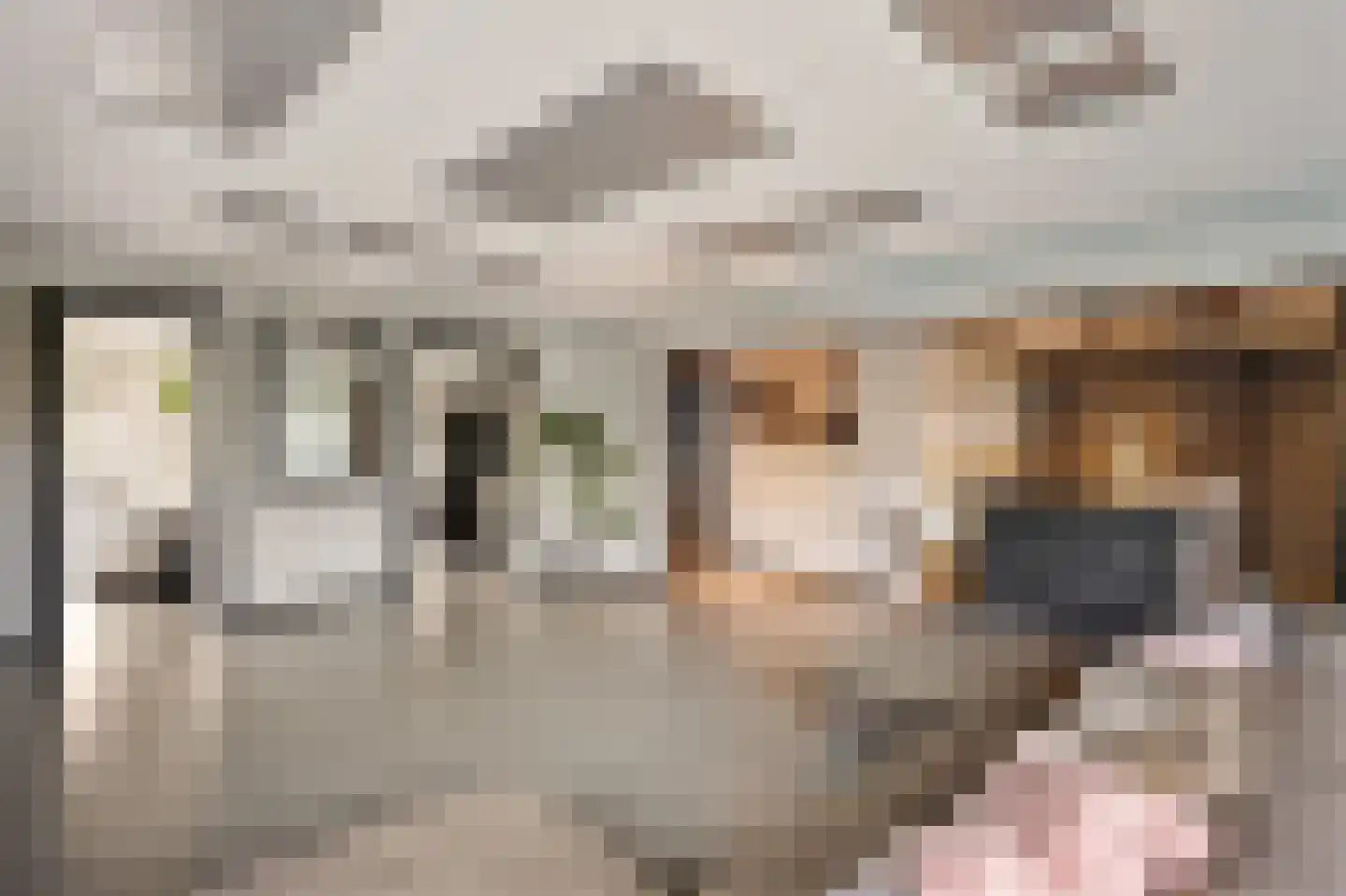 Gouden Leeuw 224 Amsterdam thumbnail 11