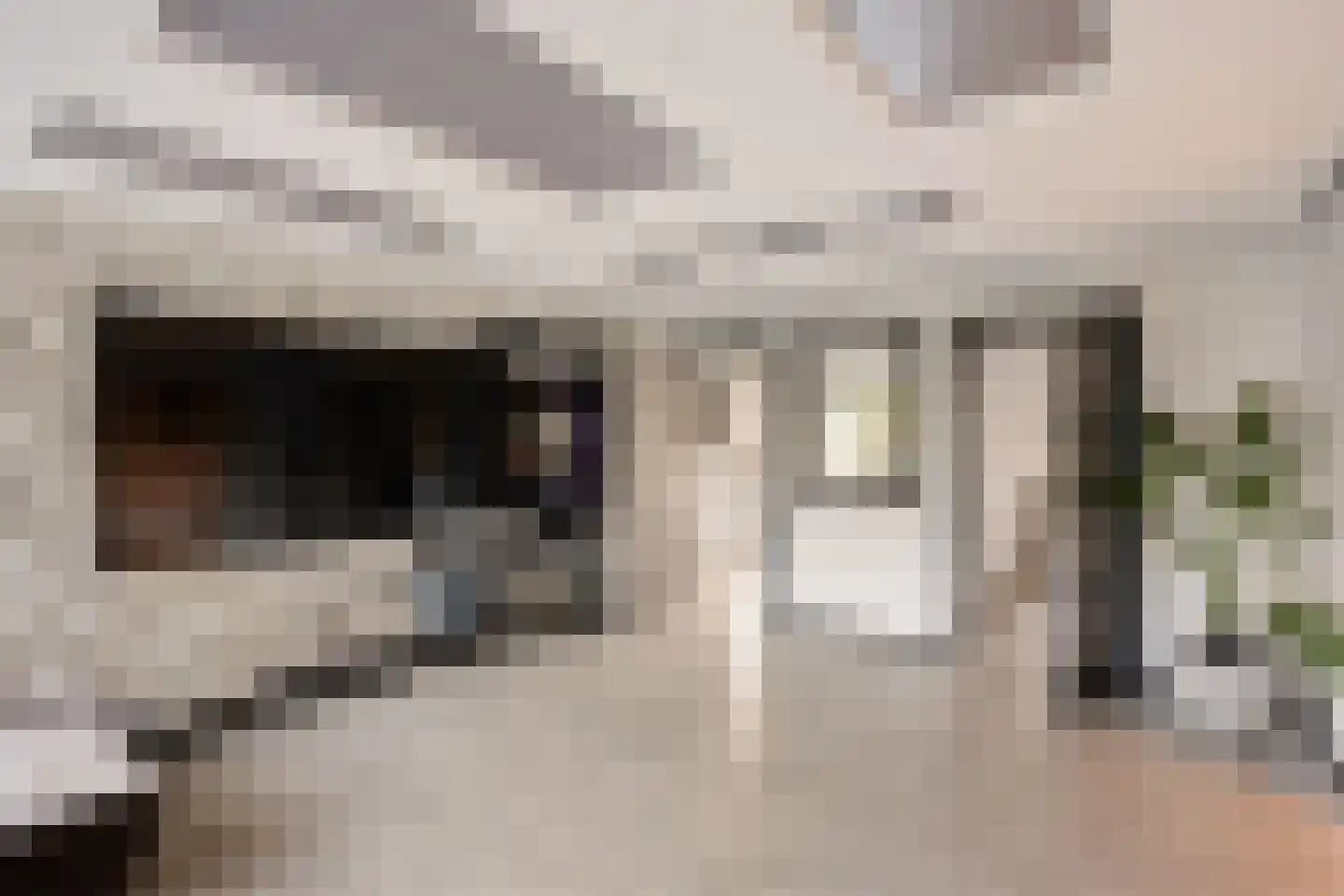 Gouden Leeuw 224 Amsterdam thumbnail 12