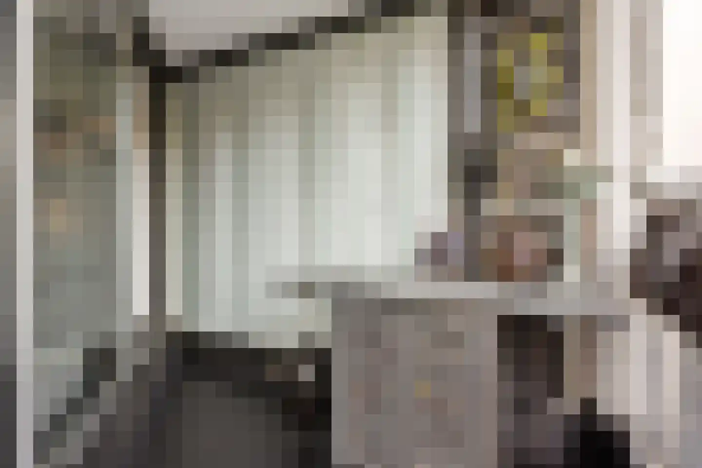 Gouden Leeuw 224 Amsterdam thumbnail 14