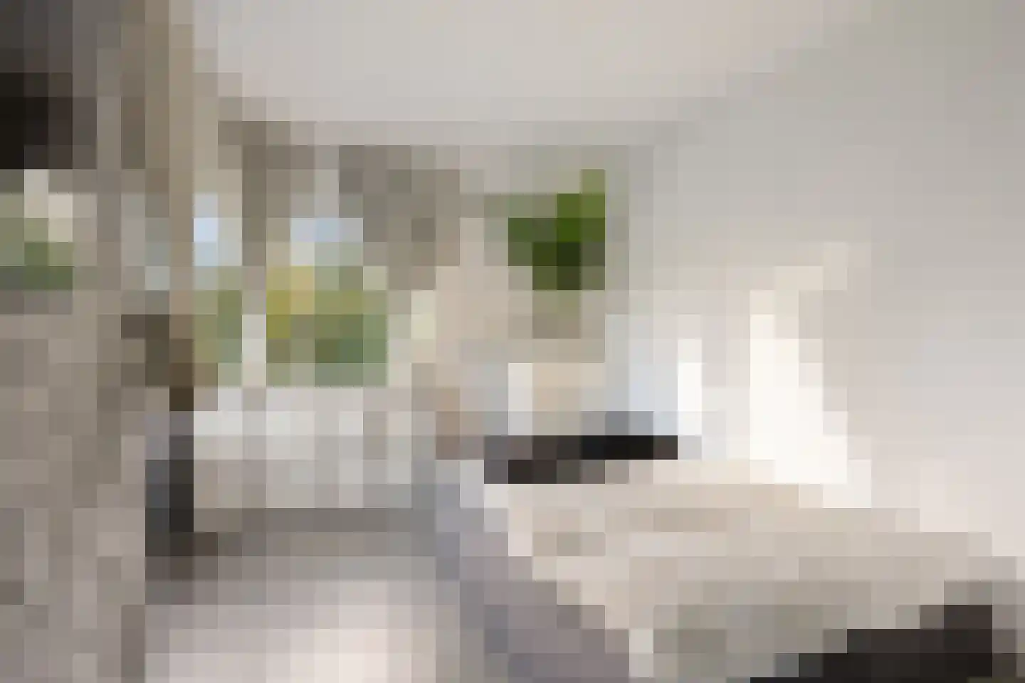 Gouden Leeuw 224 Amsterdam thumbnail 15