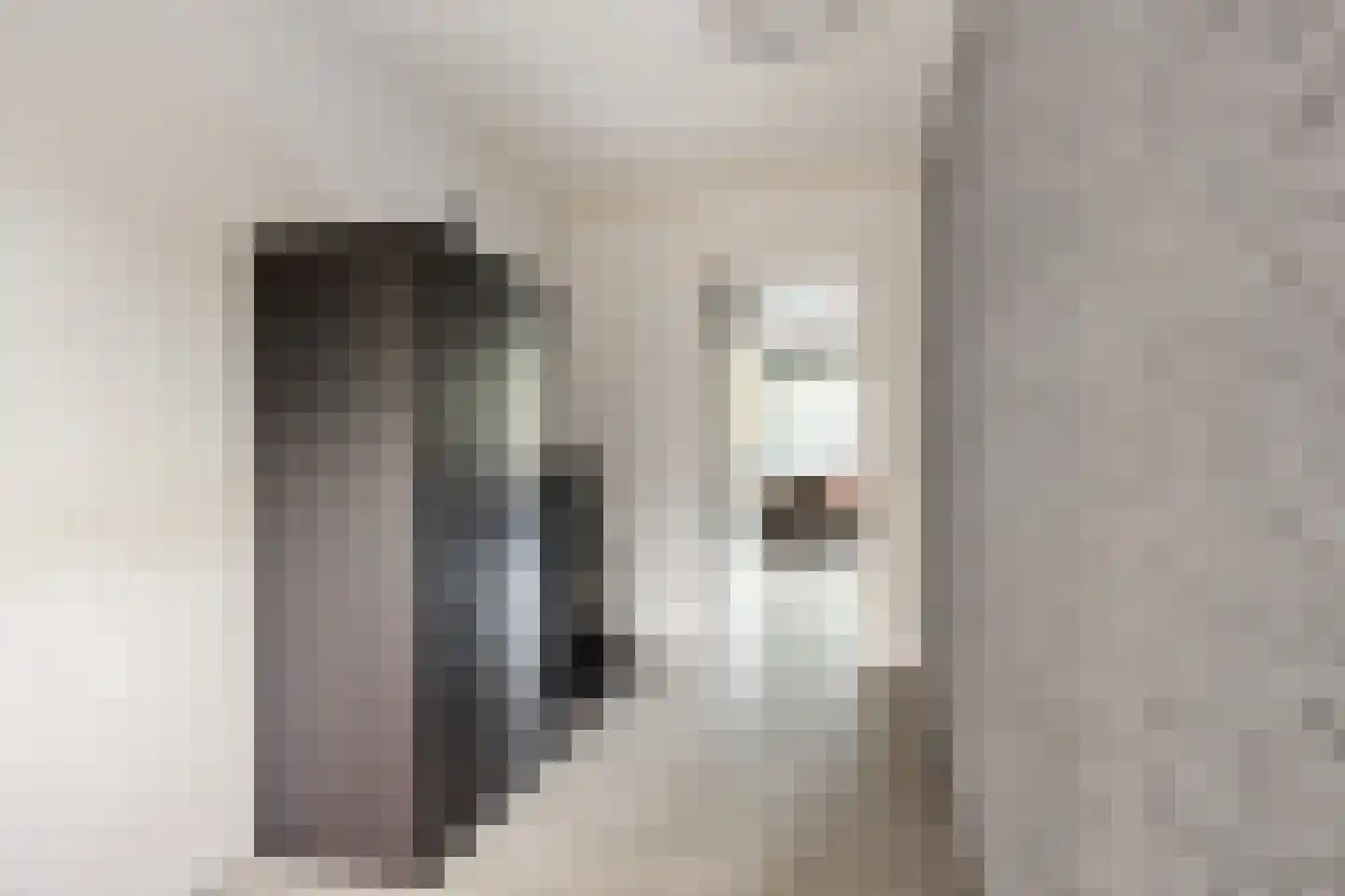 Gouden Leeuw 224 Amsterdam thumbnail 18