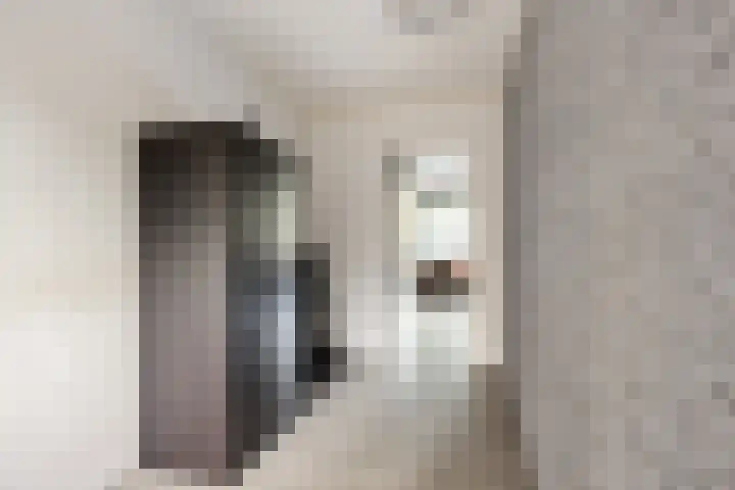 Gouden Leeuw 224 Amsterdam thumbnail 18