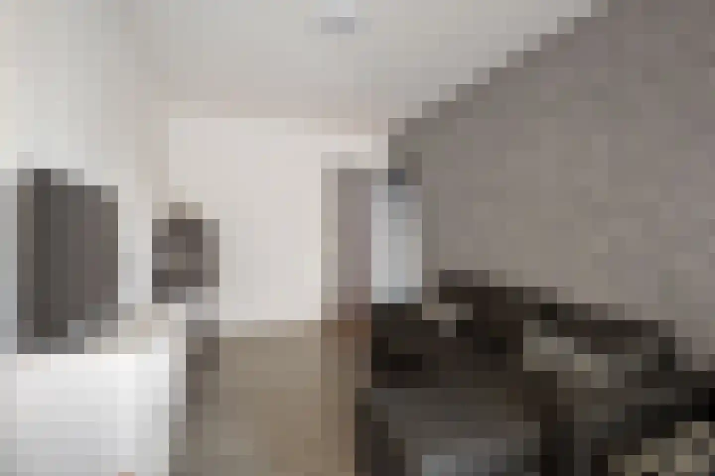 Gouden Leeuw 224 Amsterdam thumbnail 21