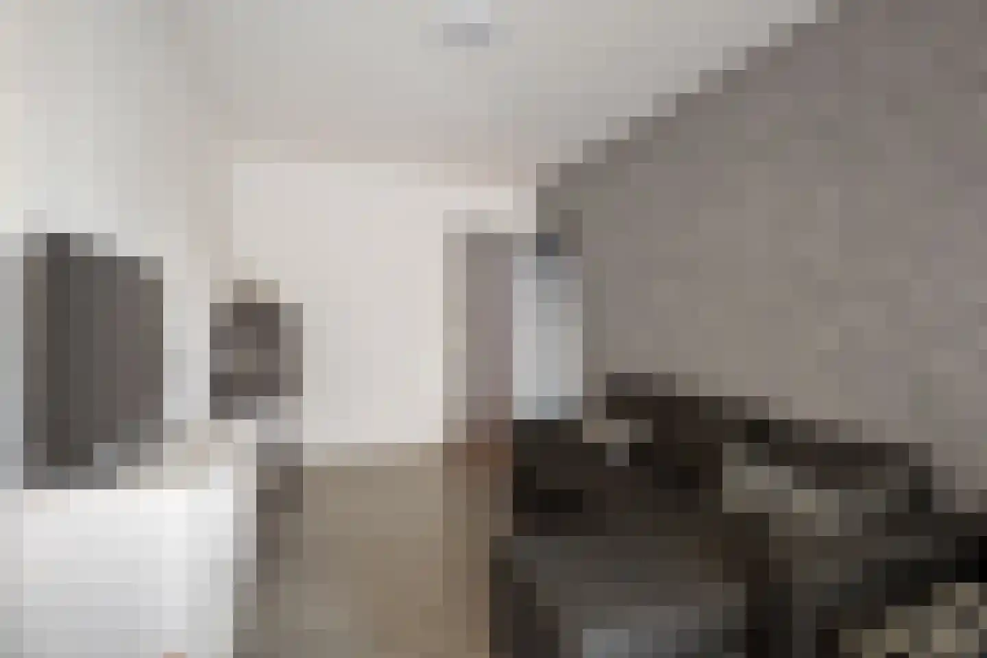 Gouden Leeuw 224 Amsterdam thumbnail 21