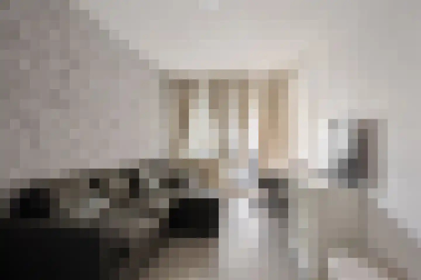 Gouden Leeuw 224 Amsterdam thumbnail 22