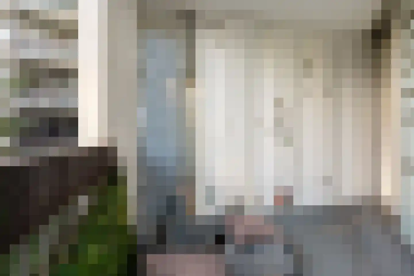 Gouden Leeuw 224 Amsterdam thumbnail 24