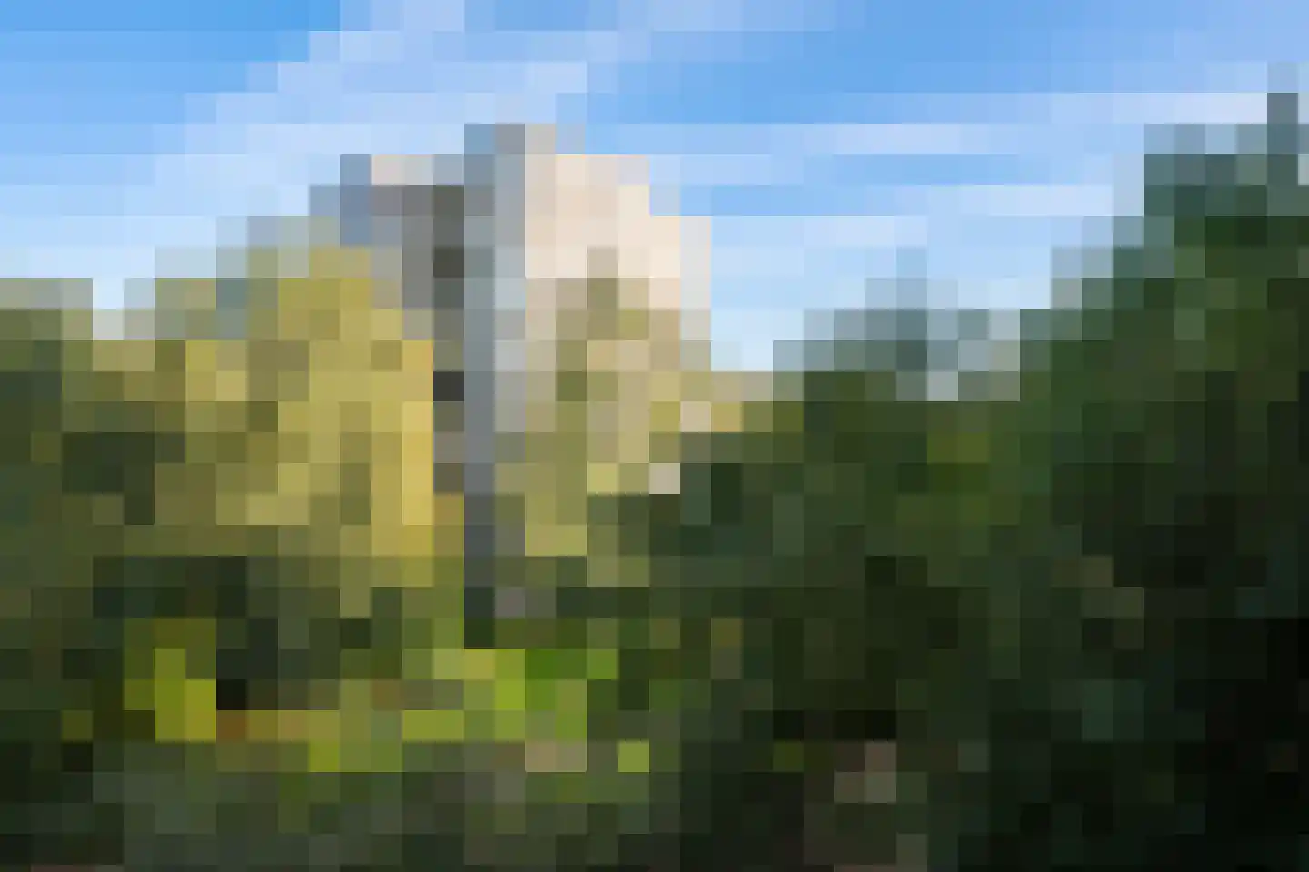 Gouden Leeuw 224 Amsterdam thumbnail 33