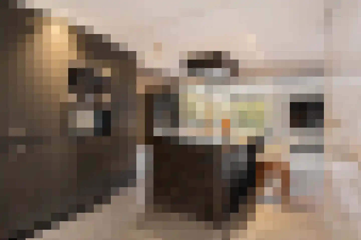 Gouden Leeuw 224 Amsterdam thumbnail 4