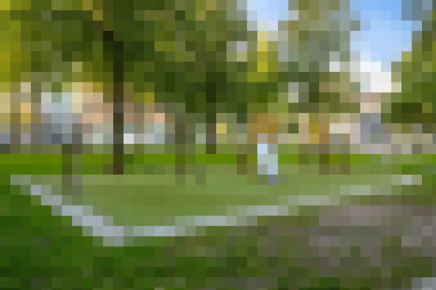 Gouden Leeuw 224 Amsterdam thumbnail 41