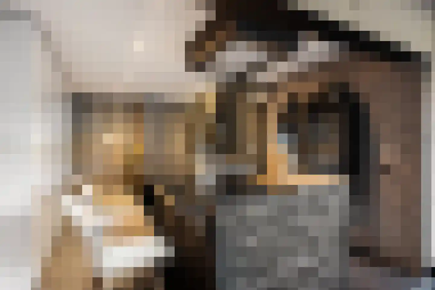 Gouden Leeuw 224 Amsterdam thumbnail 9