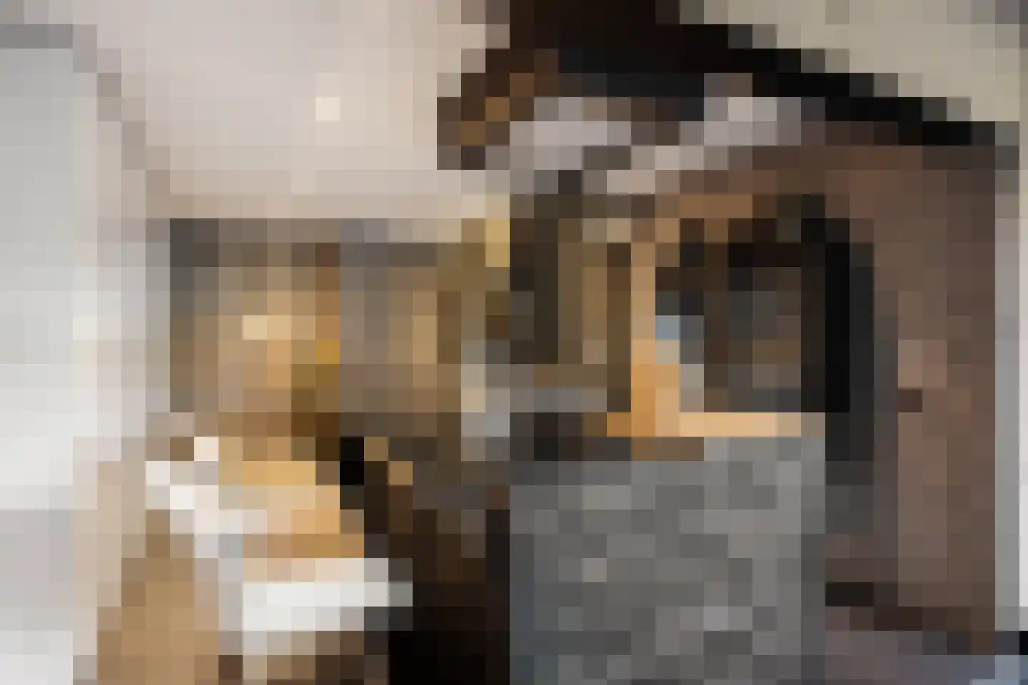 Gouden Leeuw 224 Amsterdam thumbnail 9
