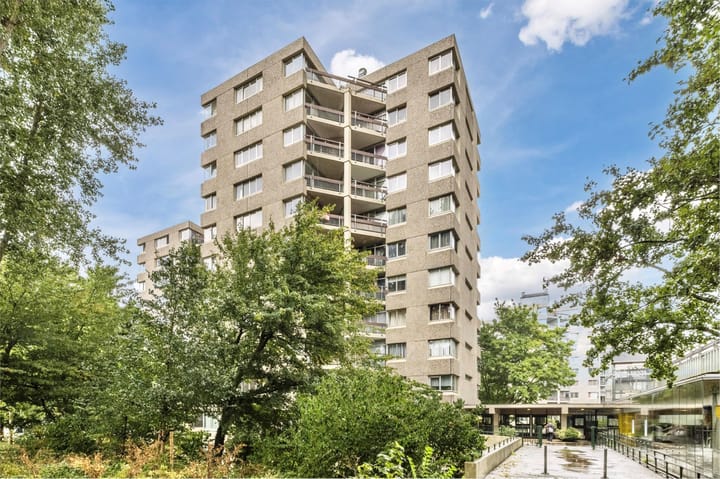 Gouden Leeuw 242 in Amsterdam