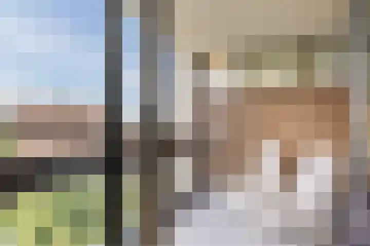 Gouden Leeuw 242 Amsterdam thumbnail 17