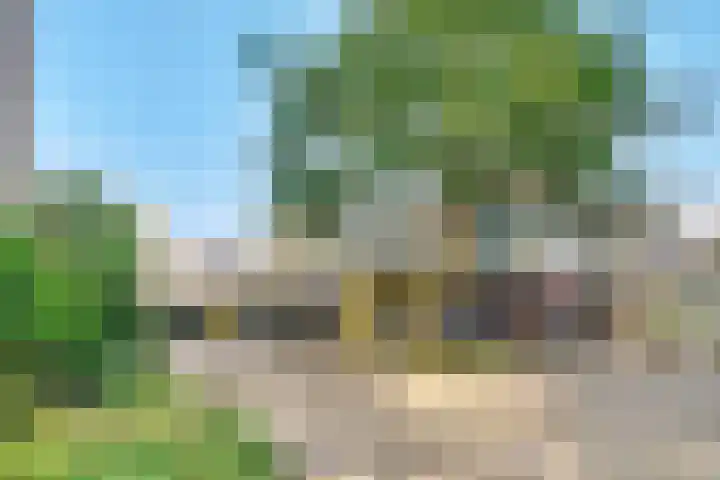 Gouden Leeuw 242 Amsterdam thumbnail 24