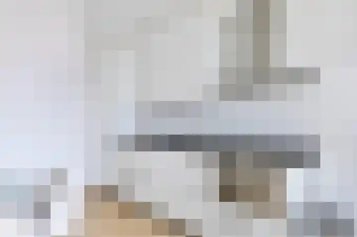 Gouden Leeuw 242 Amsterdam thumbnail 5
