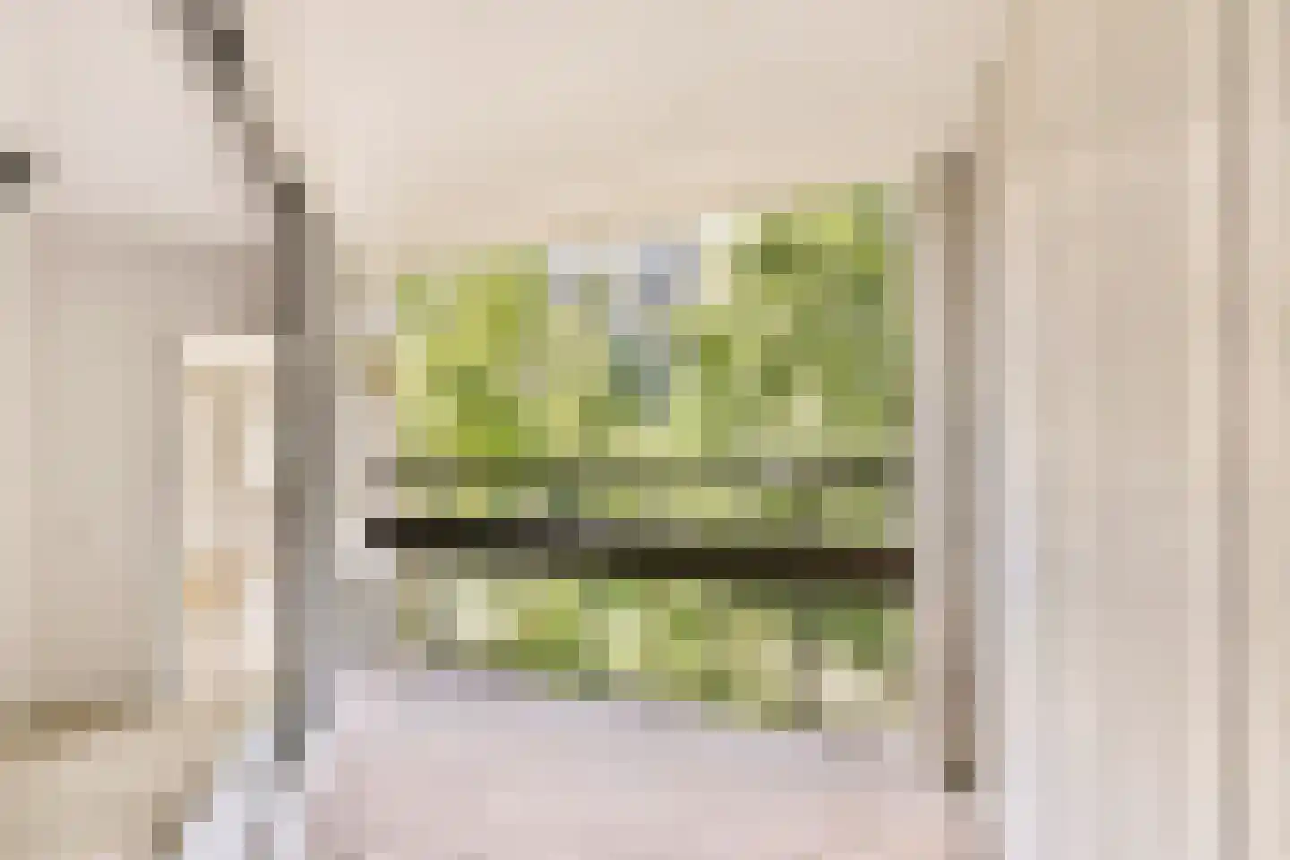 Gouden Leeuw 307 Amsterdam thumbnail 10