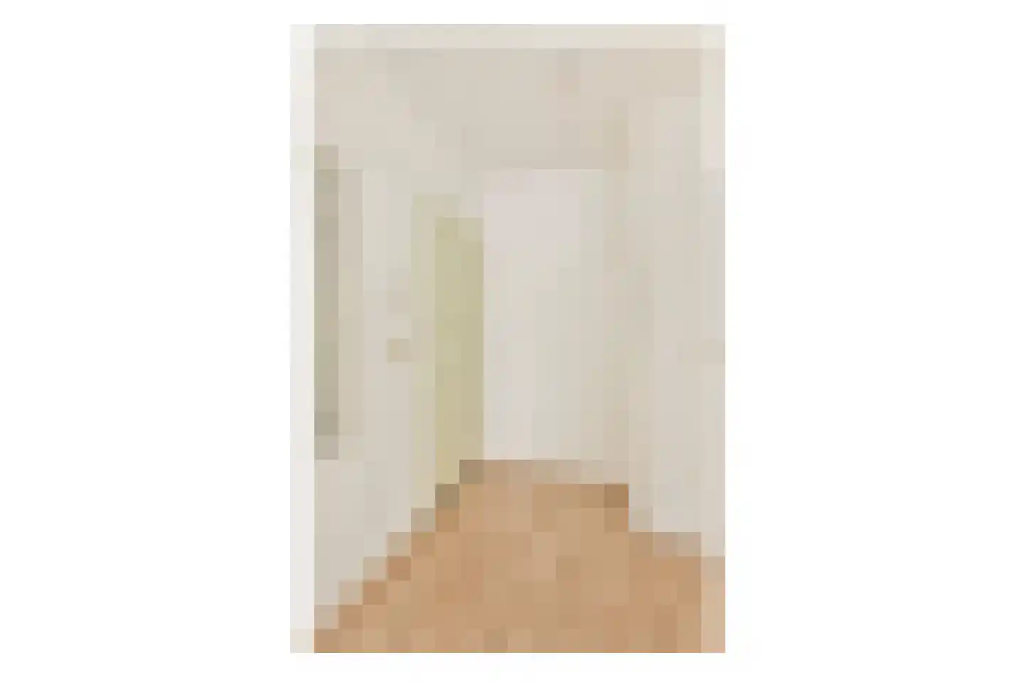 Gouden Leeuw 307 Amsterdam thumbnail 11