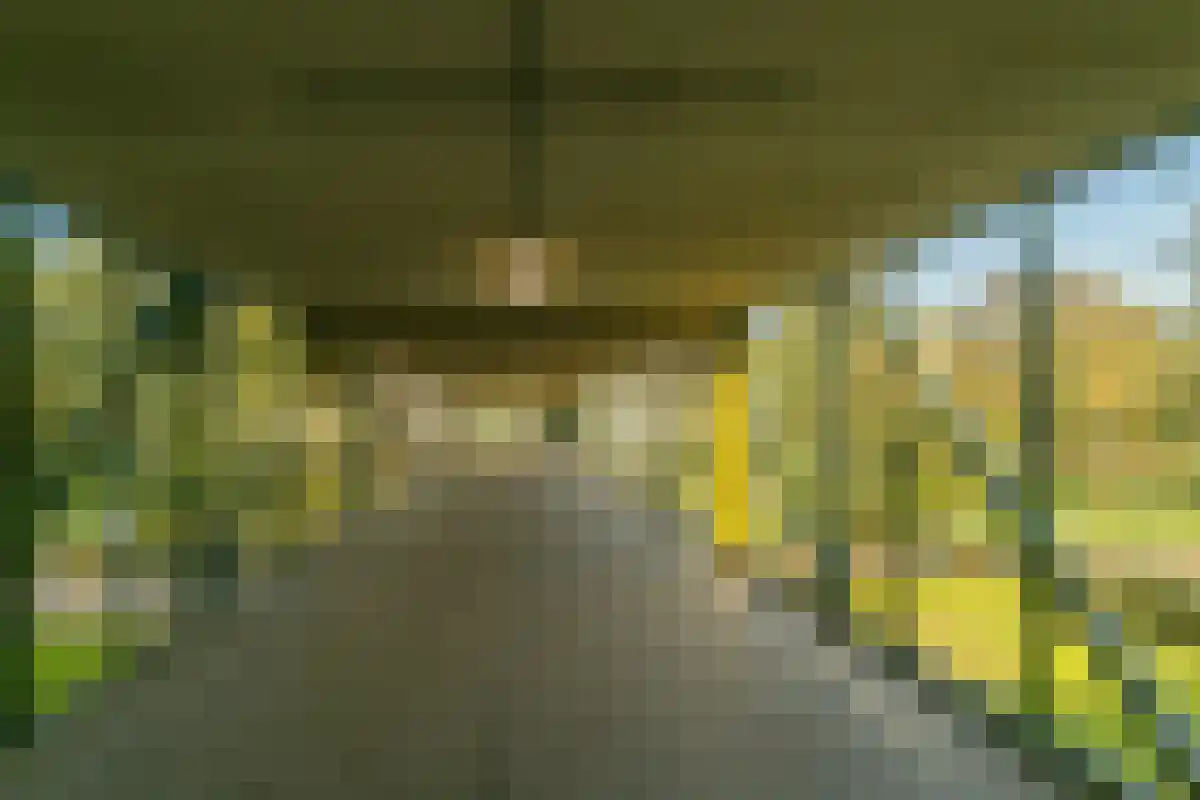 Gouden Leeuw 307 Amsterdam thumbnail 18