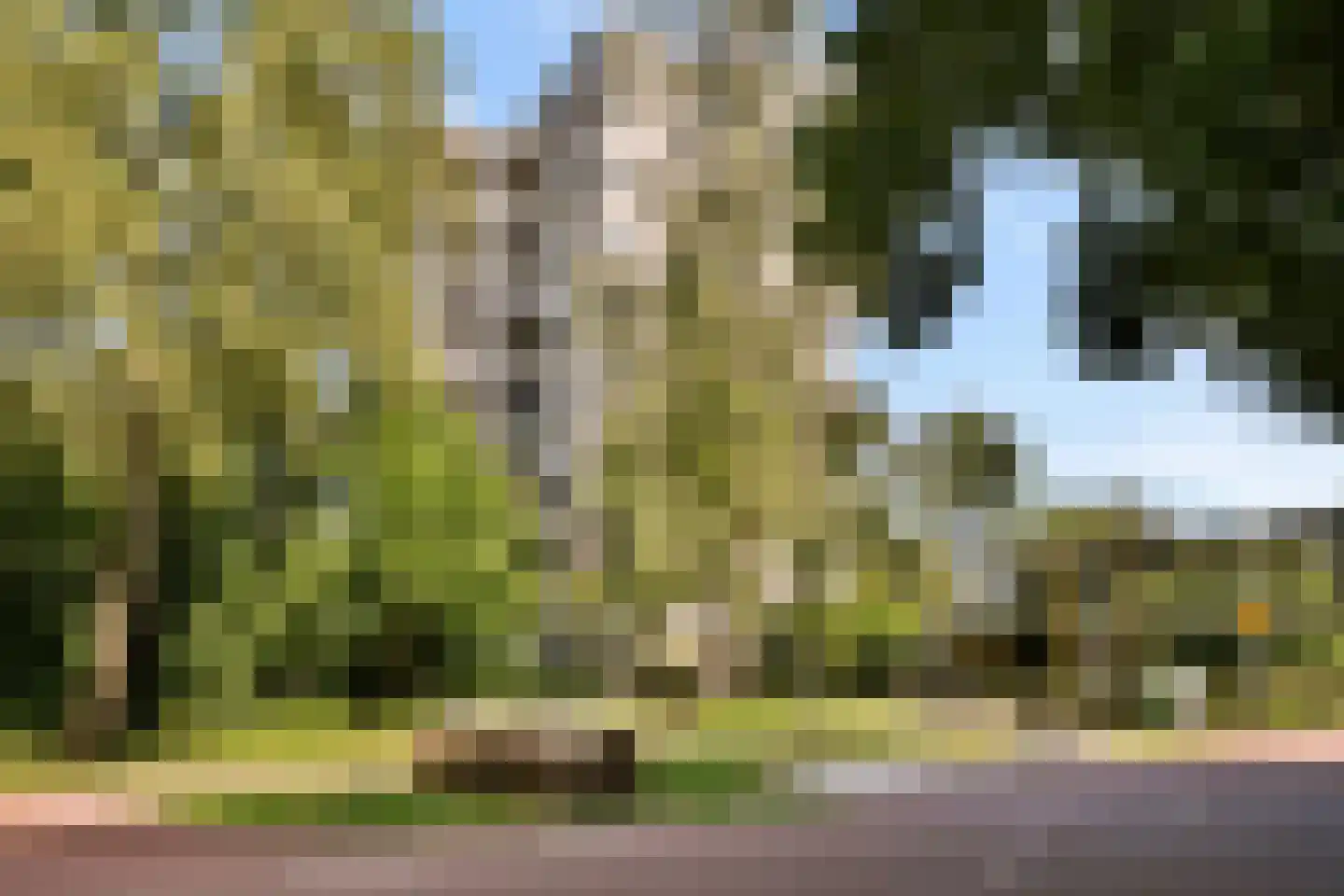 Gouden Leeuw 307 Amsterdam thumbnail 20