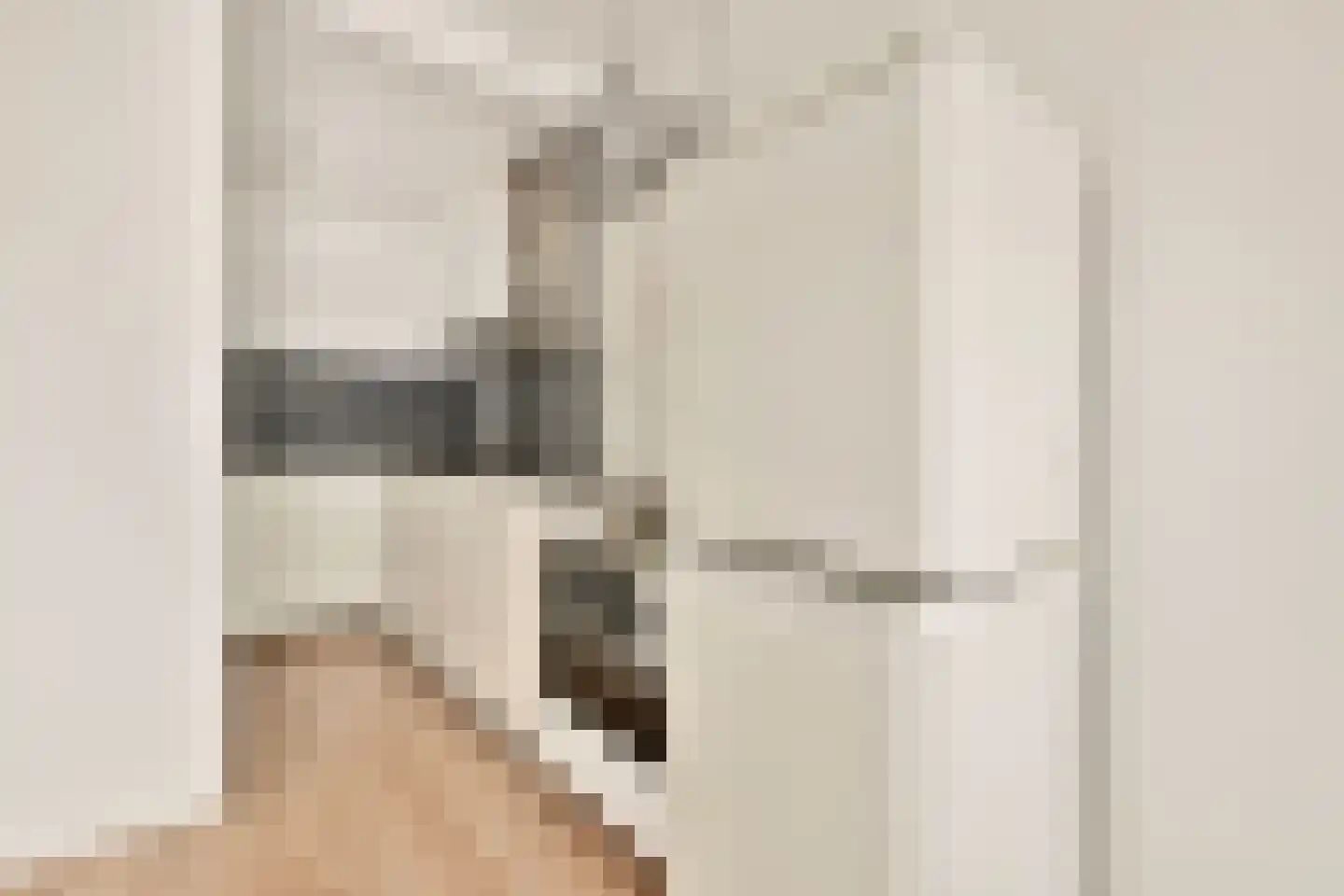 Gouden Leeuw 307 Amsterdam thumbnail 4