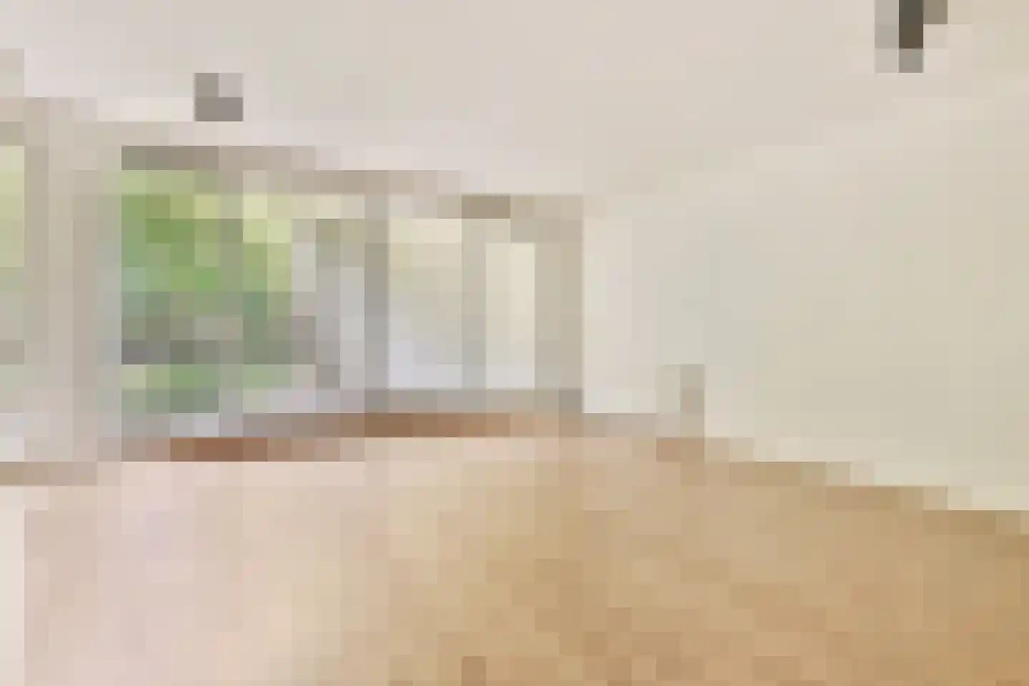 Gouden Leeuw 307 Amsterdam thumbnail 6