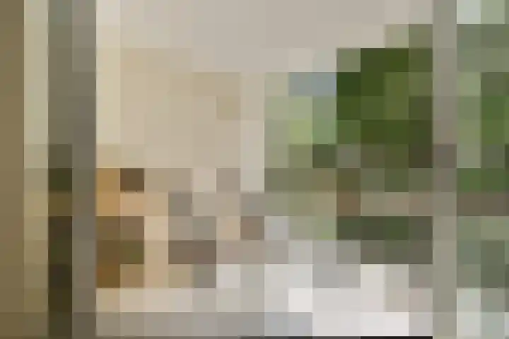 Gouden Leeuw 308 Amsterdam thumbnail 10