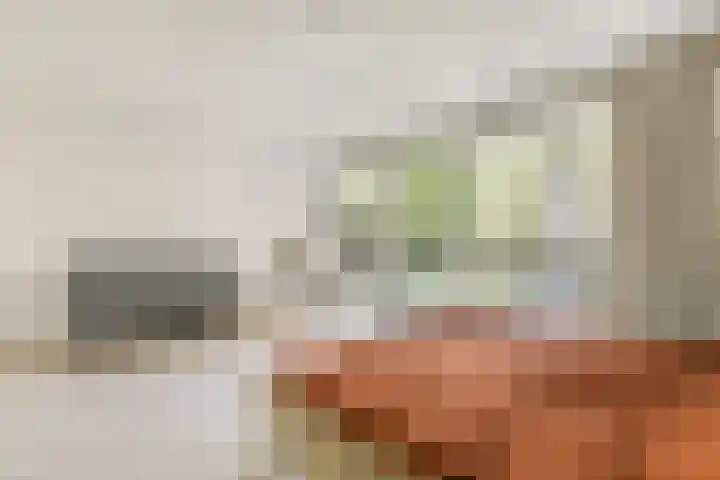 Gouden Leeuw 308 Amsterdam thumbnail 16