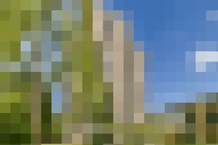 Gouden Leeuw 308 Amsterdam thumbnail 19