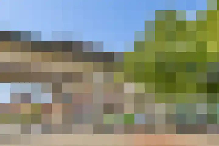 Gouden Leeuw 308 Amsterdam thumbnail 22