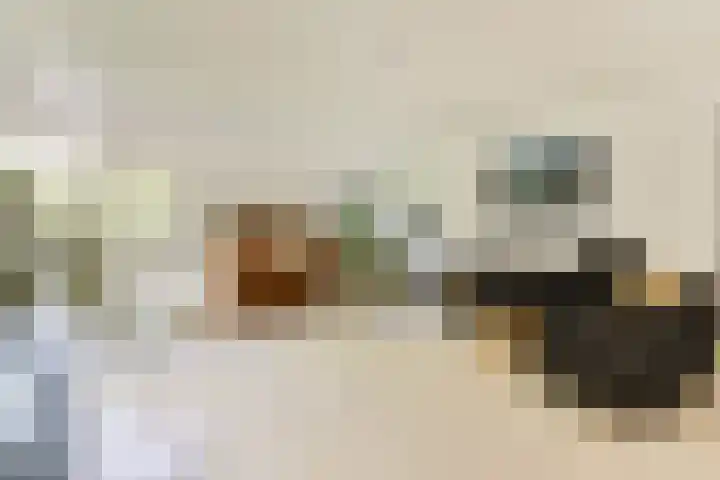 Gouden Leeuw 308 Amsterdam foto 3