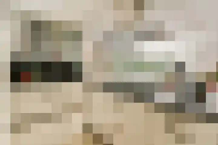 Gouden Leeuw 308 Amsterdam thumbnail 8