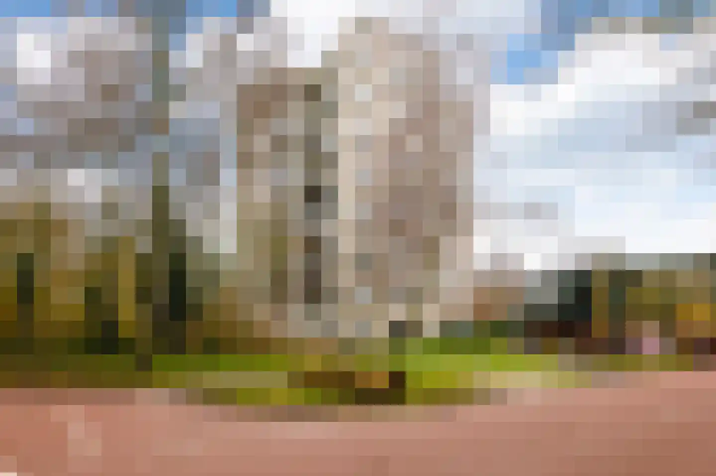 Gouden Leeuw 328 Amsterdam thumbnail 24