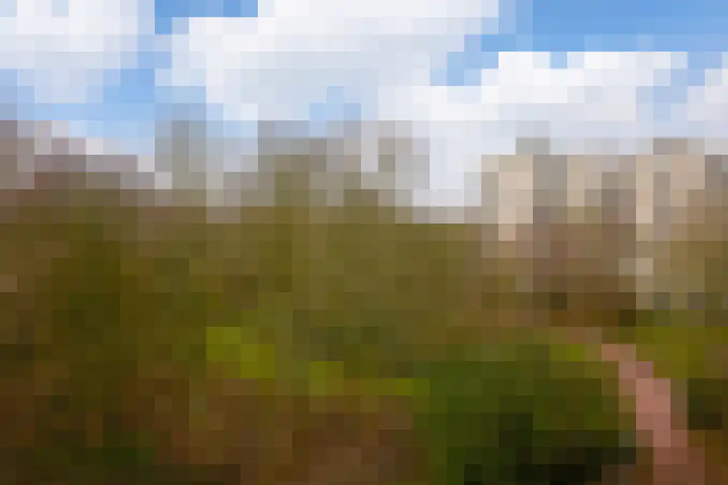 Gouden Leeuw 328 Amsterdam thumbnail 5