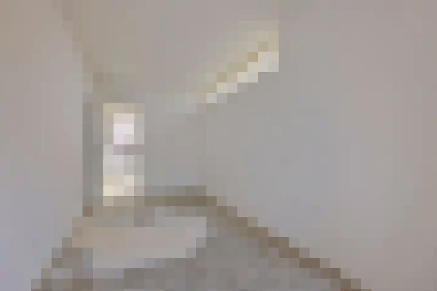 Gouden Leeuw 328 Amsterdam thumbnail 8