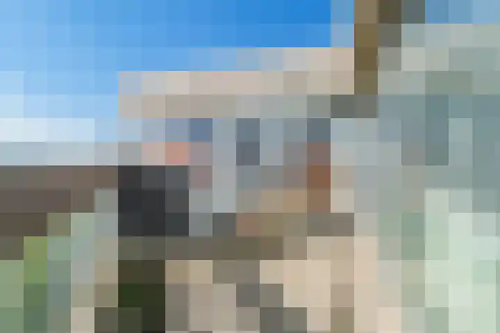 Gouden Leeuw 352 Amsterdam thumbnail 14